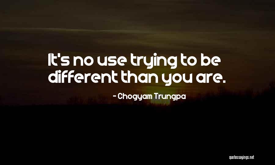 Wife Buttons Quotes By Chogyam Trungpa Wife Buttons Quotes By Chogyam Trungpa