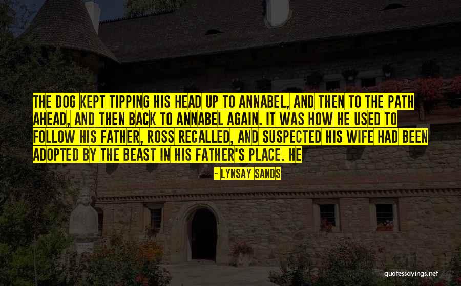 Wife Is At It Again Quotes By Lynsay Sands Wife Is At It Again Quotes By Lynsay Sands