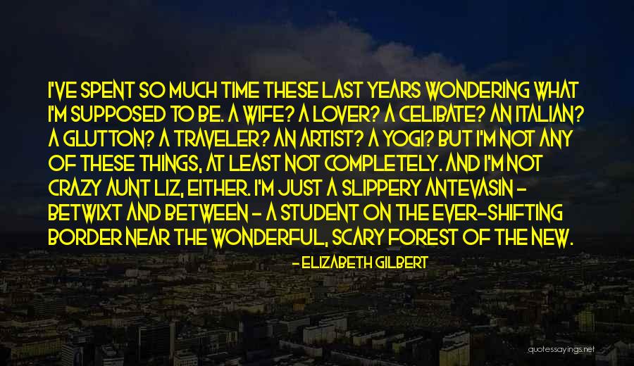 Wife Lover Quotes By Elizabeth Gilbert