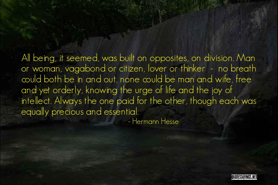 Wife Lover Quotes By Hermann Hesse Wife Lover Quotes By Hermann Hesse
