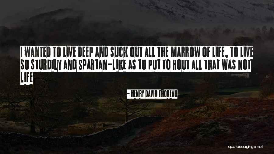 Wigglesworths Descendants Quotes By Henry David Thoreau Wigglesworths Descendants Quotes By Henry David Thoreau