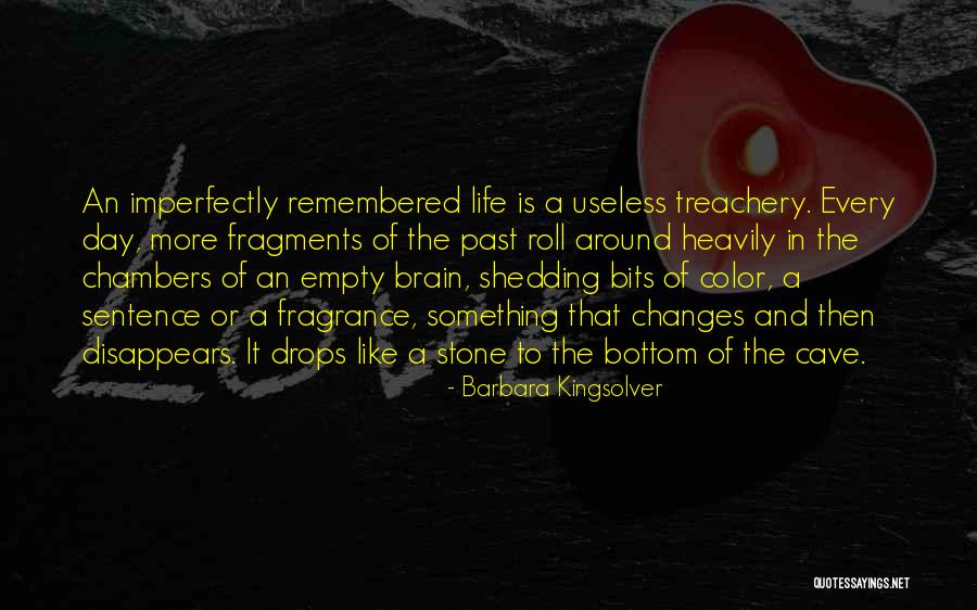 Wiig Assessment Quotes By Barbara Kingsolver Wiig Assessment Quotes By Barbara Kingsolver
