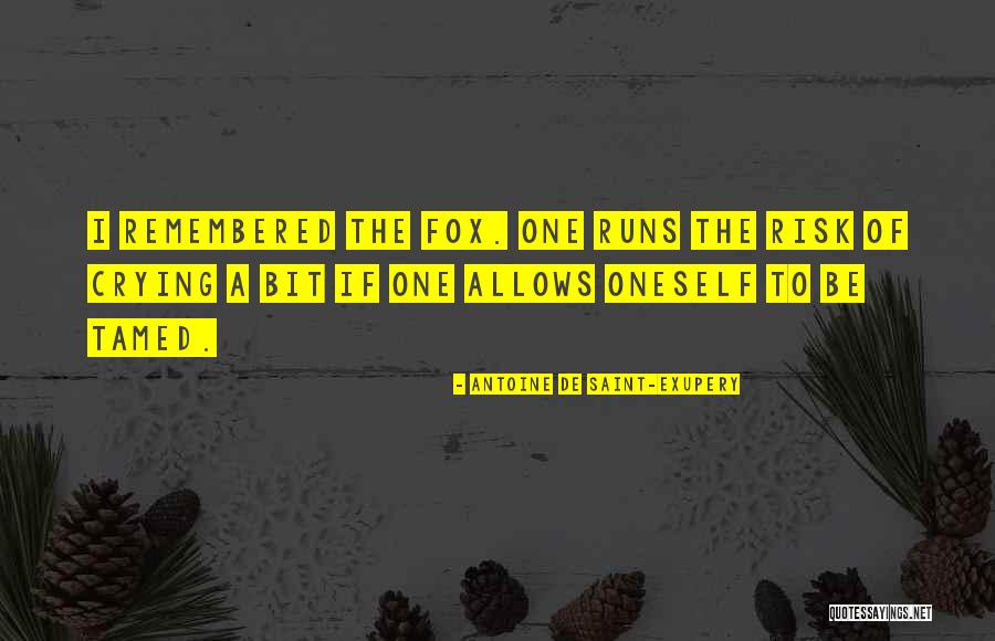 Wijaya Graphic Quotes By Antoine De Saint-Exupery Wijaya Graphic Quotes By Antoine De Saint-Exupery