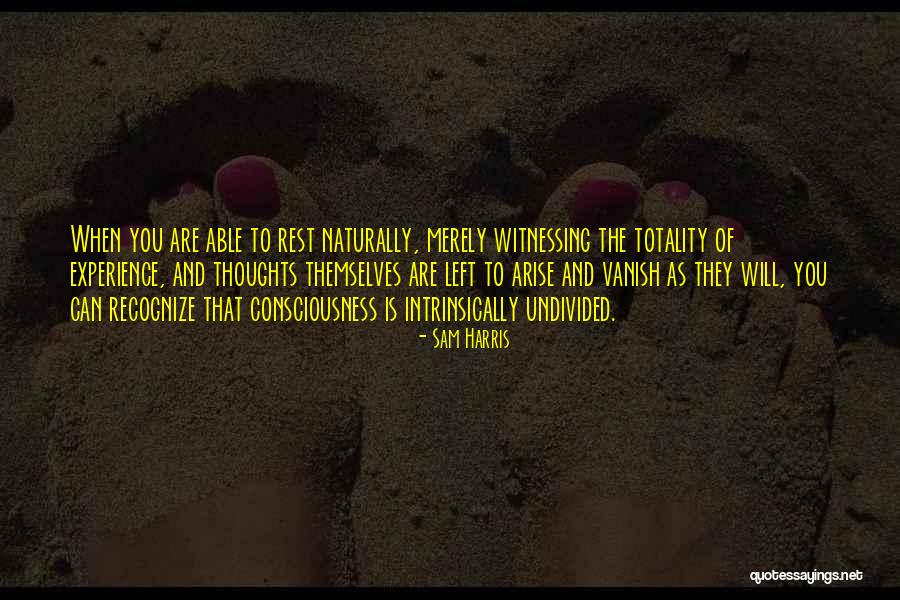 Wijnbergen Bloemen Quotes By Sam Harris Wijnbergen Bloemen Quotes By Sam Harris