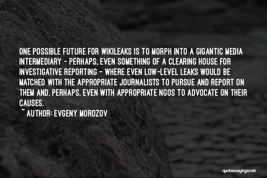 Wikileaks Quotes By Evgeny Morozov