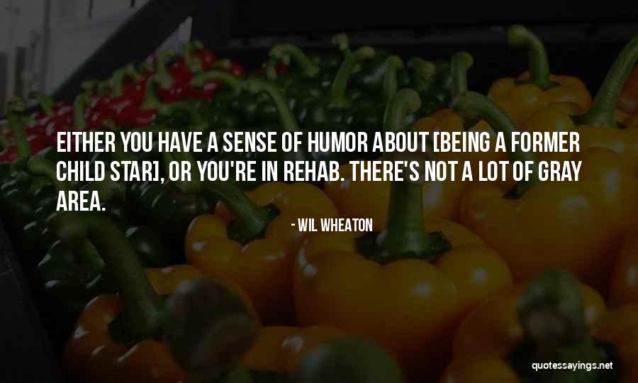 Wil Wheaton Quotes 803544 Wil Wheaton Quotes 803544