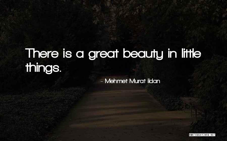 Wilbur Whateley Quotes By Mehmet Murat Ildan Wilbur Whateley Quotes By Mehmet Murat Ildan