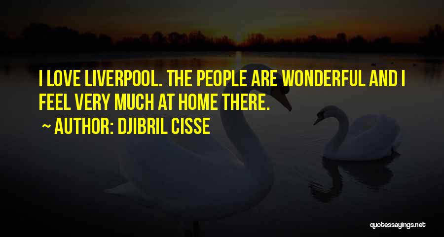 Wilcove Rockford Quotes By Djibril Cisse