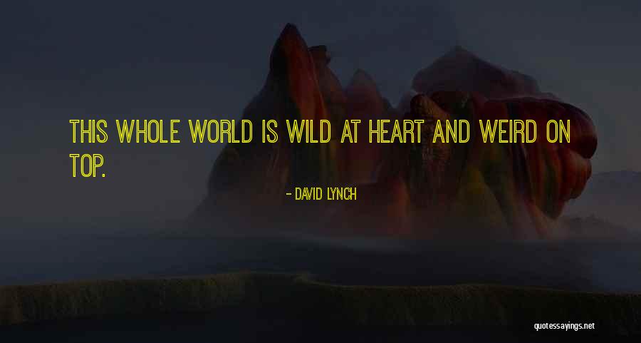 Wild And Weird Quotes By David Lynch Wild And Weird Quotes By David Lynch