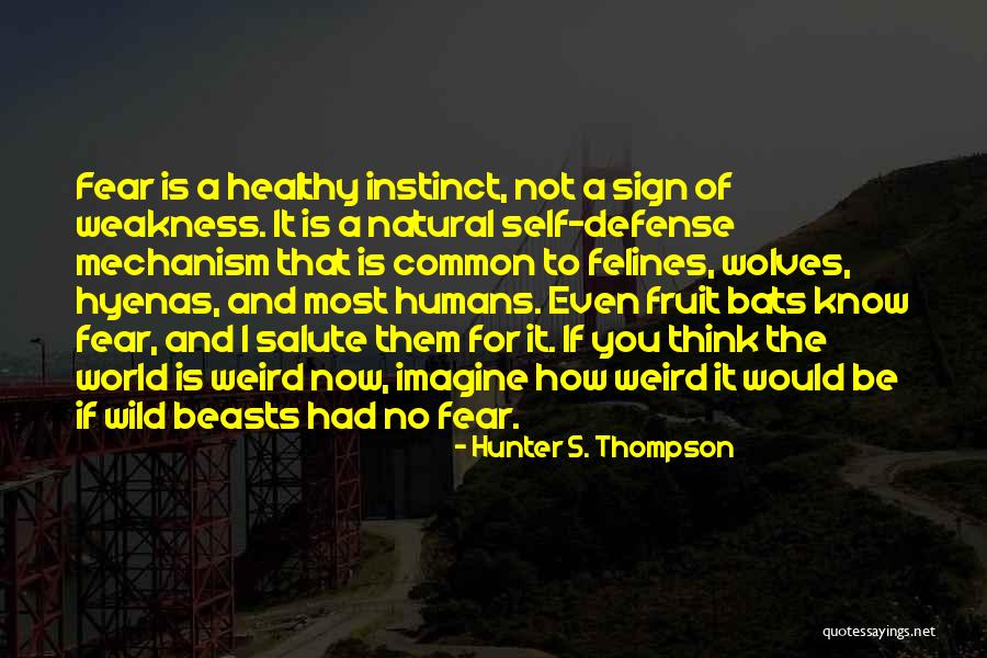 Wild And Weird Quotes By Hunter S. Thompson Wild And Weird Quotes By Hunter S. Thompson