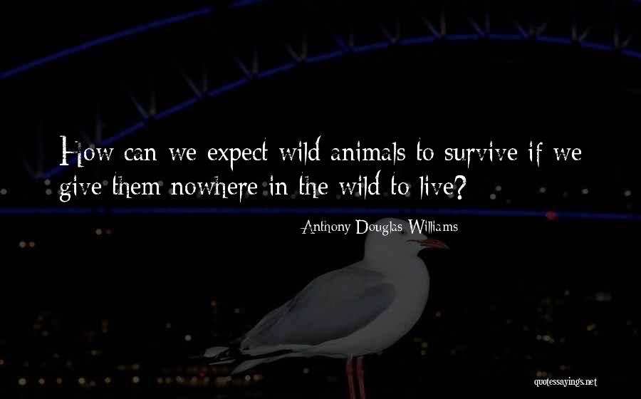 Wild Animals Quotes By Anthony Douglas Williams