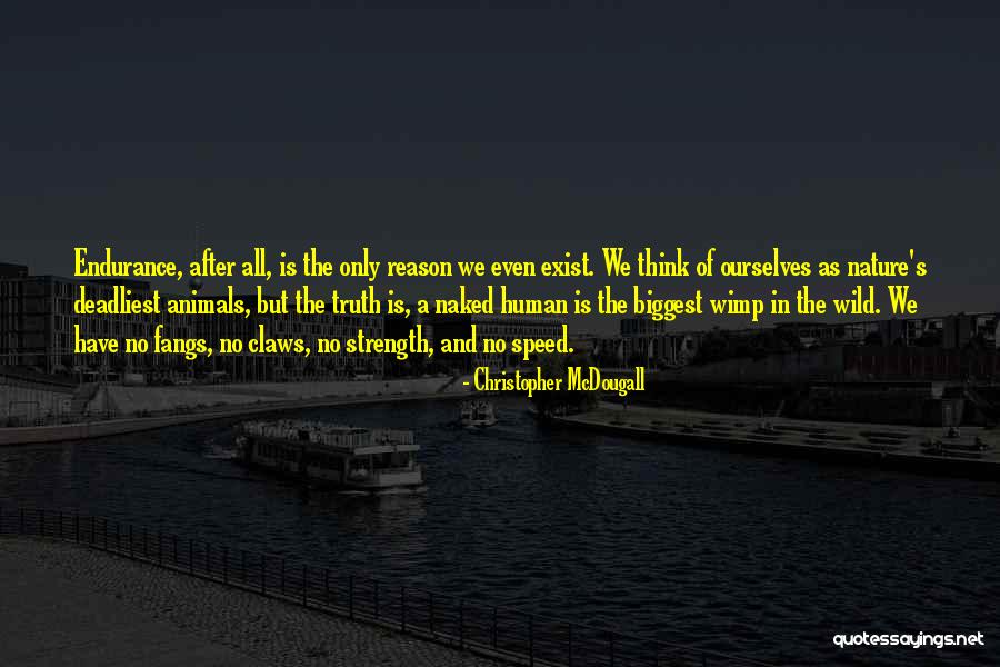 Wild Animals Quotes By Christopher McDougall Wild Animals Quotes By Christopher McDougall