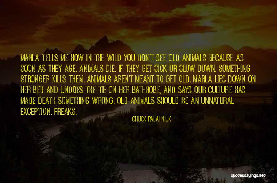 Wild Animals Quotes By Chuck Palahniuk