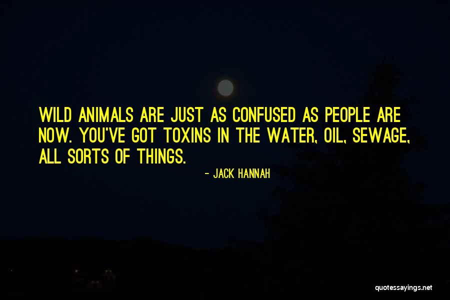 Wild Animals Quotes By Jack Hannah Wild Animals Quotes By Jack Hannah