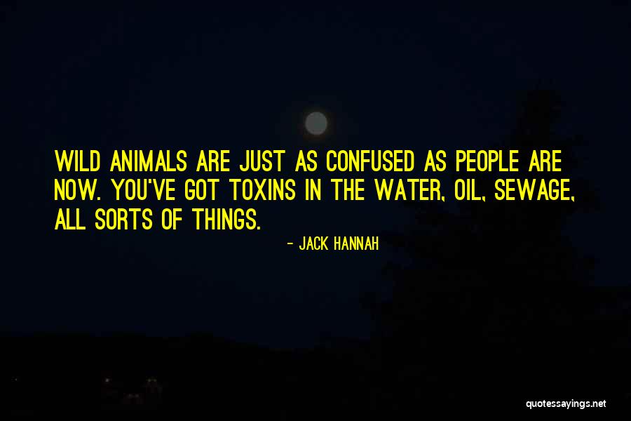 Wild Animals Quotes By Jack Hannah