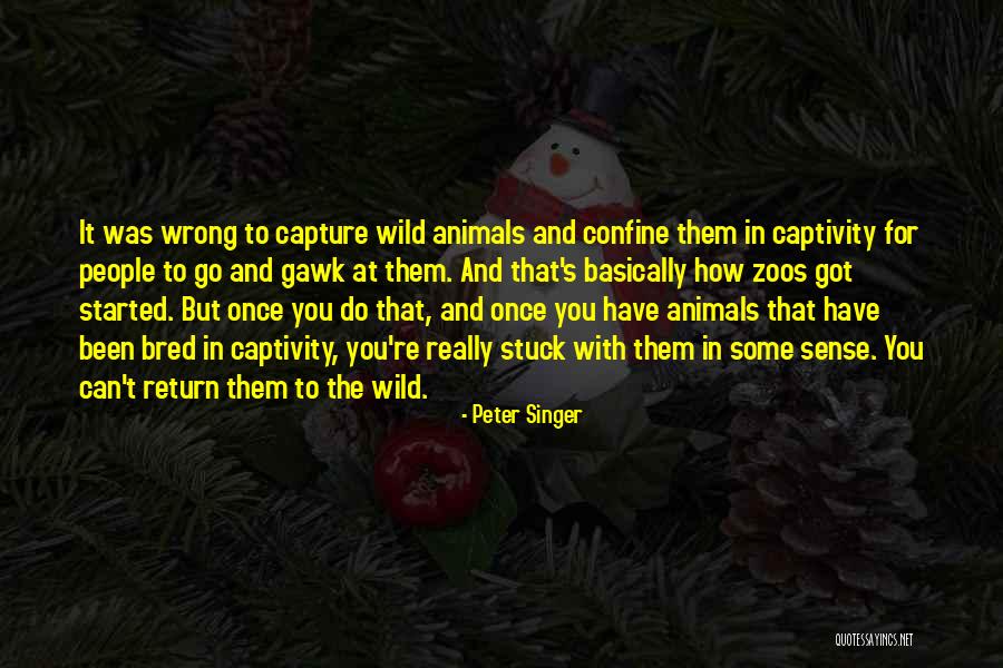 Wild Animals Quotes By Peter Singer Wild Animals Quotes By Peter Singer