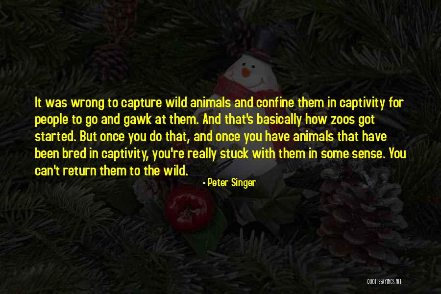 Wild Animals Quotes By Peter Singer