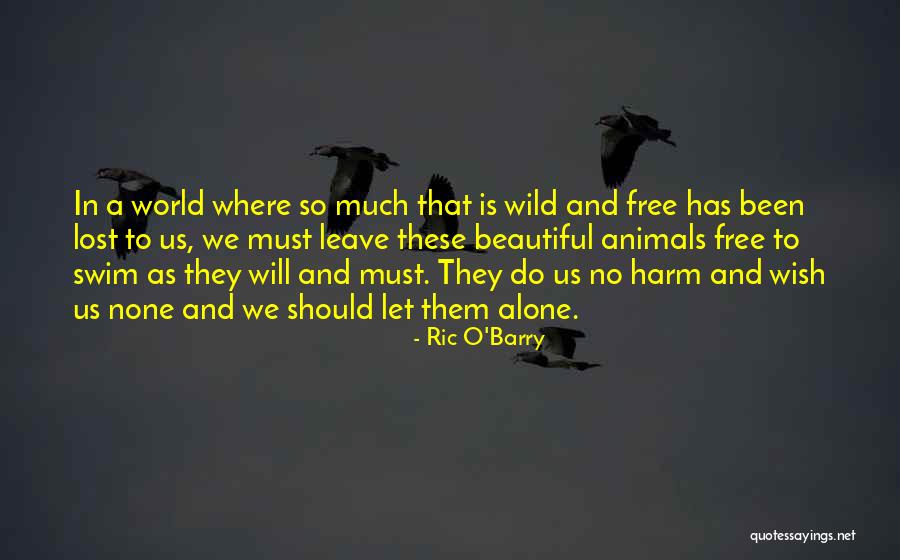 Wild Animals Quotes By Ric O'Barry Wild Animals Quotes By Ric O'Barry