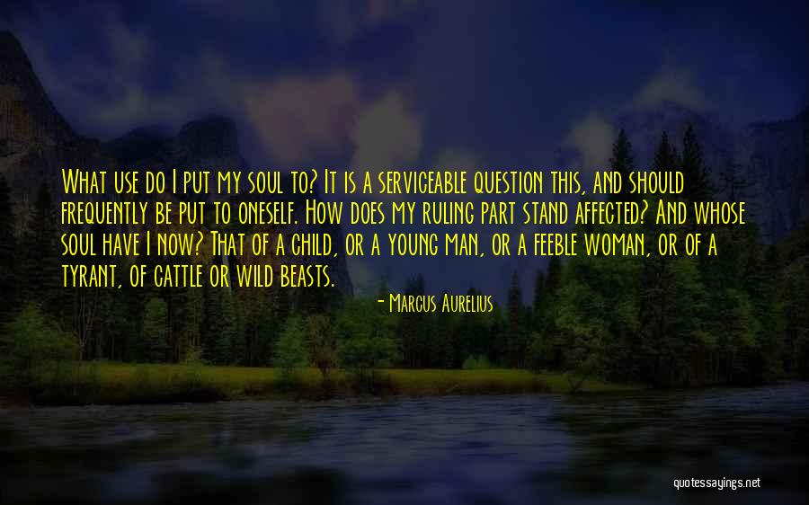 Wild Beasts Quotes By Marcus Aurelius Wild Beasts Quotes By Marcus Aurelius
