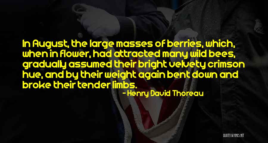 Wild Berries Quotes By Henry David Thoreau