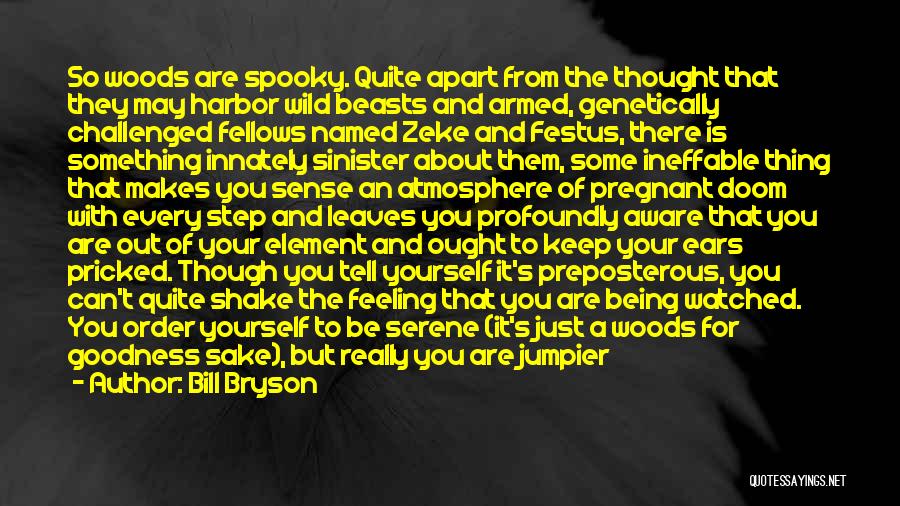 Wild Bill Quotes By Bill Bryson