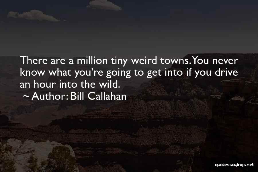 Wild Bill Quotes By Bill Callahan