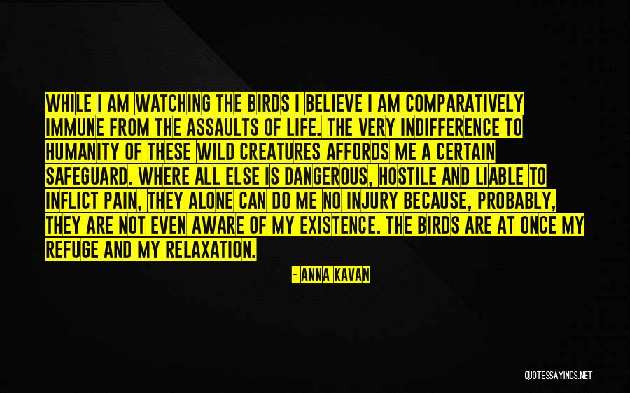 Wild Bird Quotes By Anna Kavan Wild Bird Quotes By Anna Kavan