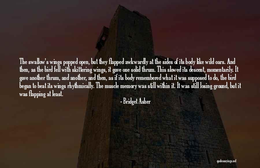 Wild Bird Quotes By Bridget Asher Wild Bird Quotes By Bridget Asher