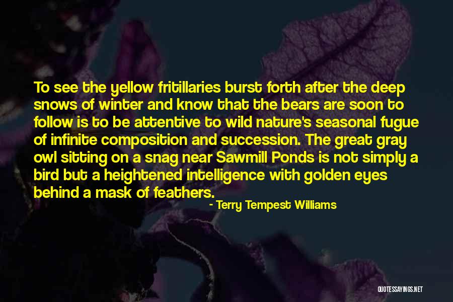 Wild Bird Quotes By Terry Tempest Williams Wild Bird Quotes By Terry Tempest Williams