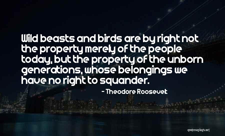 Wild Bird Quotes By Theodore Roosevelt Wild Bird Quotes By Theodore Roosevelt