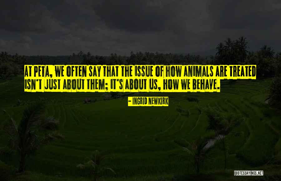 Wild Boar Atv Quotes By Ingrid Newkirk Wild Boar Atv Quotes By Ingrid Newkirk
