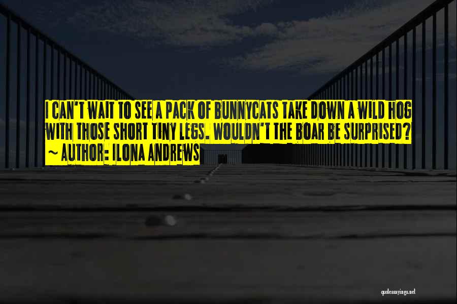 Wild Boar Quotes By Ilona Andrews