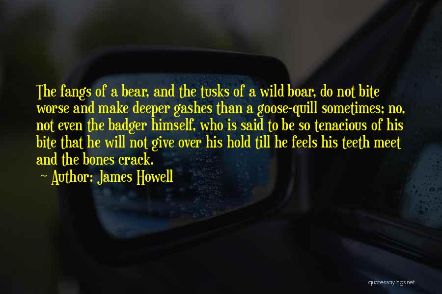 Wild Boar Quotes By James Howell