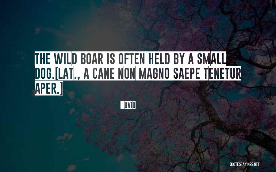 Wild Boar Quotes By Ovid