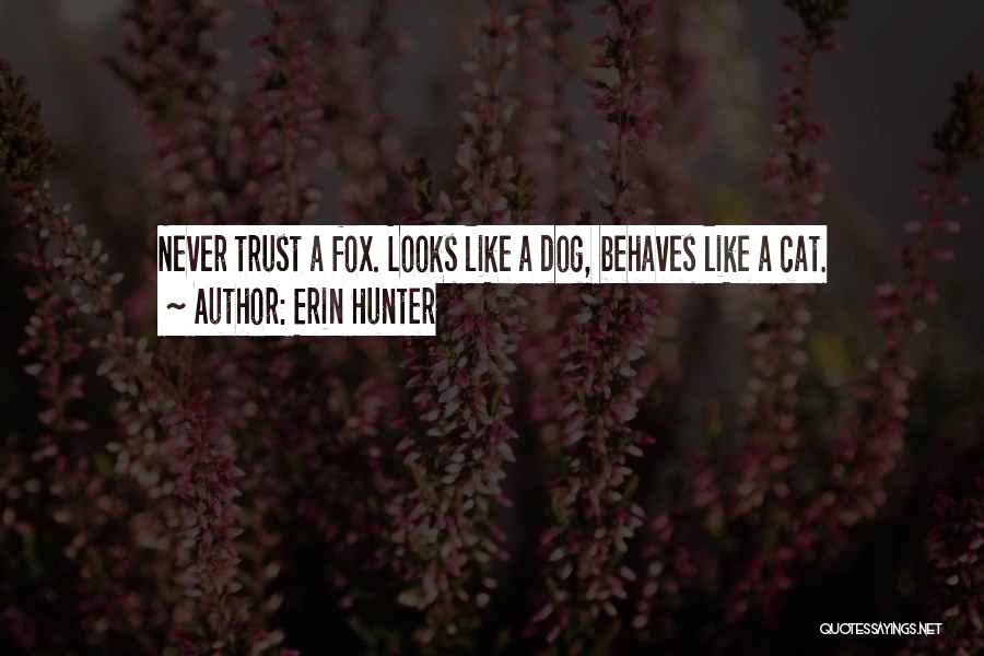 Wild Cats Quotes By Erin Hunter