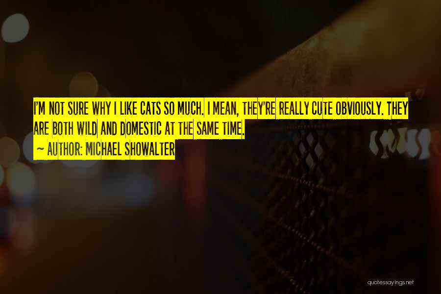 Wild Cats Quotes By Michael Showalter