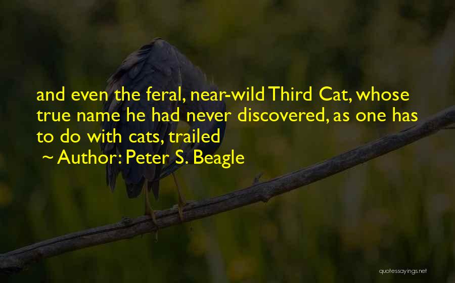 Wild Cats Quotes By Peter S. Beagle