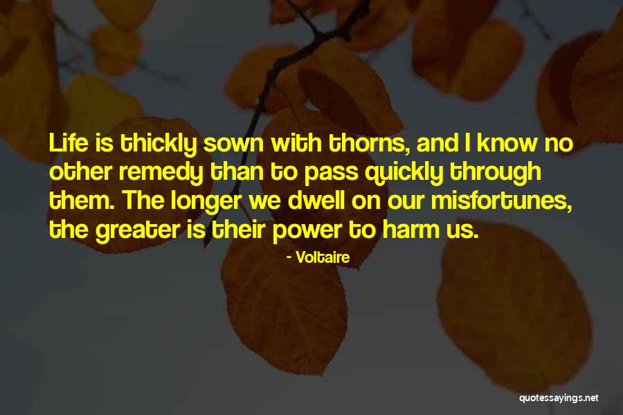Wild Child Imdb Quotes By Voltaire Wild Child Imdb Quotes By Voltaire