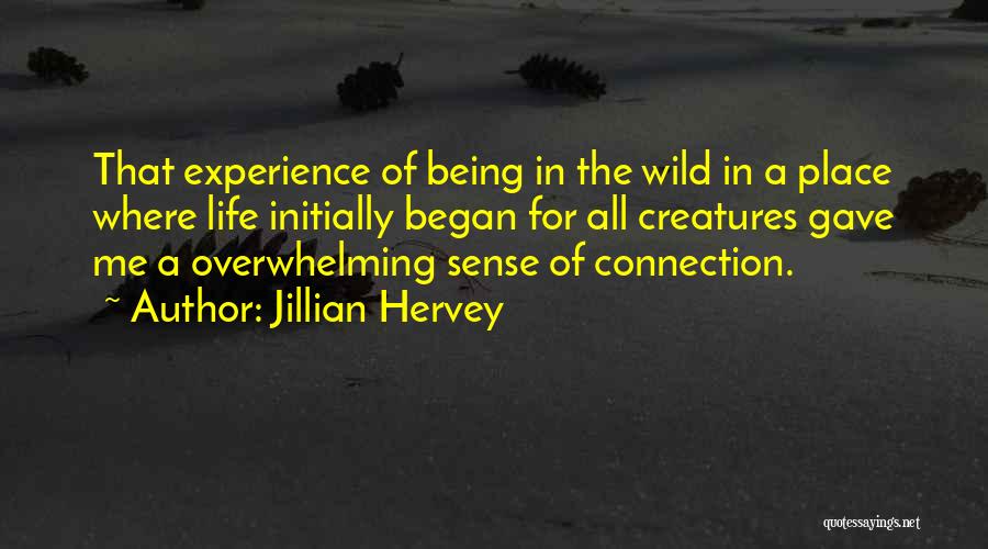 Wild Creatures Quotes By Jillian Hervey