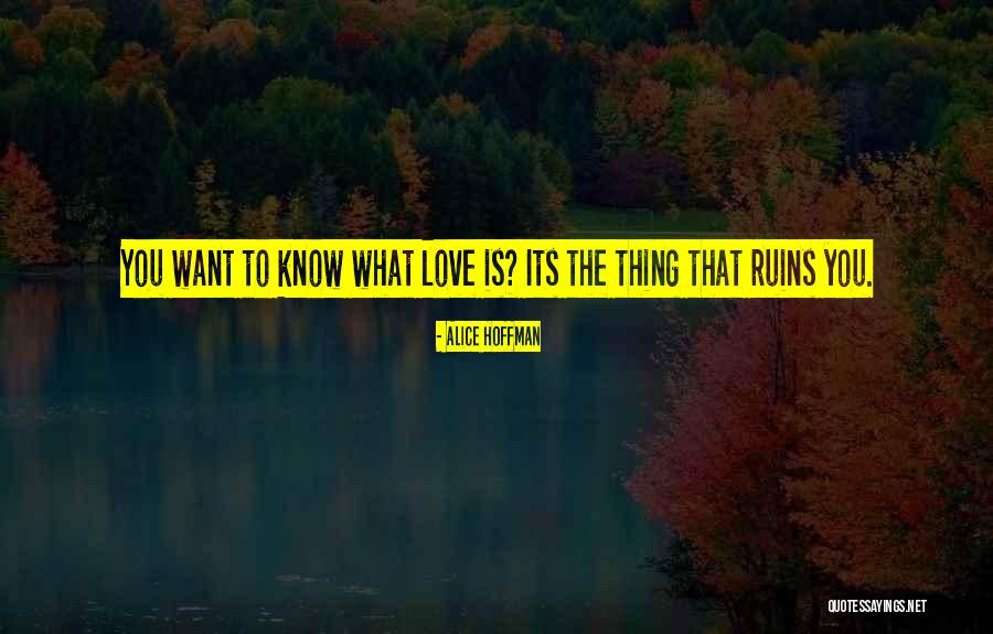 Wild Dunes Quotes By Alice Hoffman Wild Dunes Quotes By Alice Hoffman