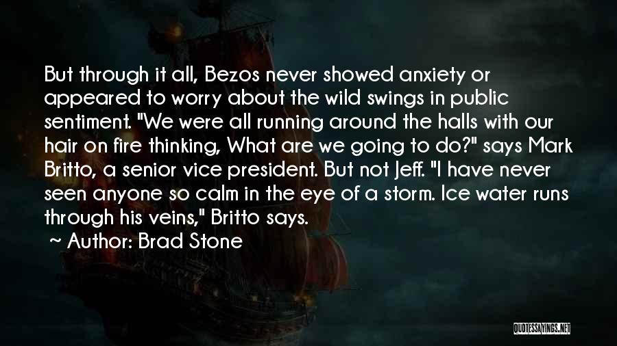 Wild Eye Quotes By Brad Stone