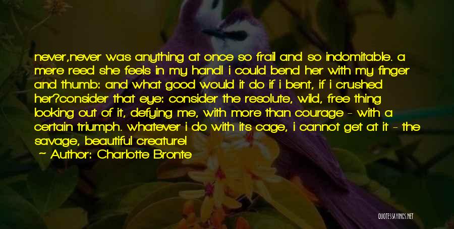 Wild Eye Quotes By Charlotte Bronte