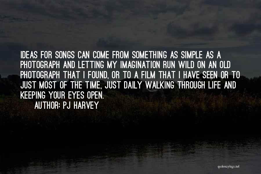 Wild Eye Quotes By PJ Harvey