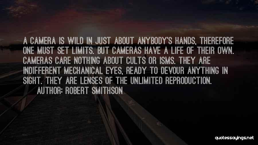 Wild Eye Quotes By Robert Smithson