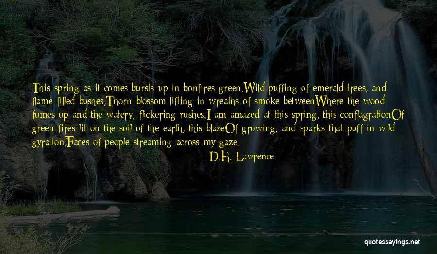 Wild Fires Quotes By D.H. Lawrence Wild Fires Quotes By D.H. Lawrence