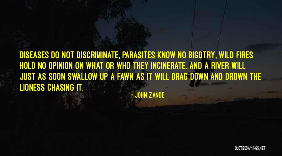 Wild Fires Quotes By John Zande Wild Fires Quotes By John Zande