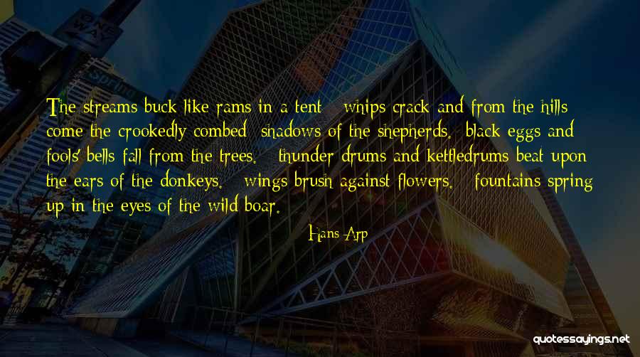 Wild Flowers Quotes By Hans Arp Wild Flowers Quotes By Hans Arp