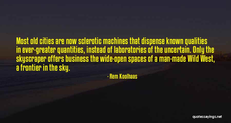 Wild Frontier Quotes By Rem Koolhaas