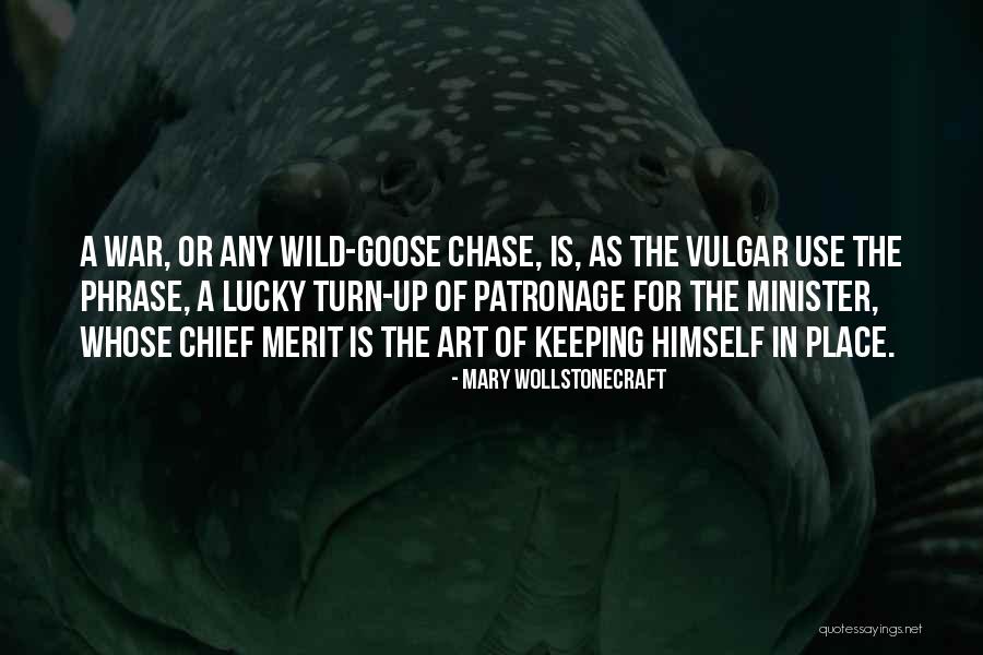 Wild Goose Chase Quotes By Mary Wollstonecraft