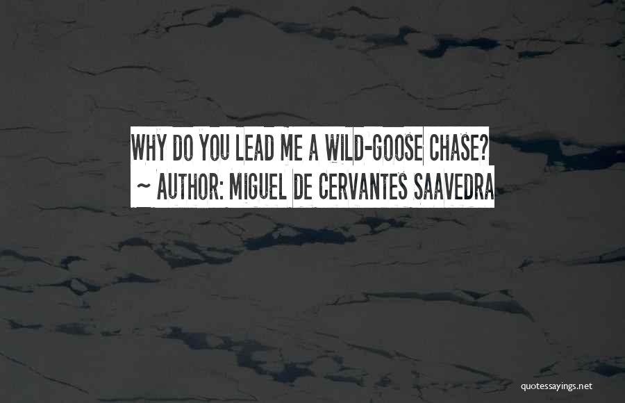 Wild Goose Chase Quotes By Miguel De Cervantes Saavedra